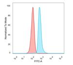 DMRT2 (Transcription Factor) Antibody in Flow Cytometry (Flow)