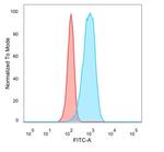 CELF2/CUGBP2 (RNA-binding protein) Antibody in Flow Cytometry (Flow)