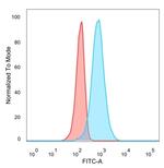 CELF2/CUGBP2 (RNA-binding protein) Antibody in Flow Cytometry (Flow)