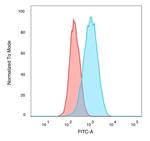 CELF2/CUGBP2 (RNA-binding protein) Antibody in Flow Cytometry (Flow)