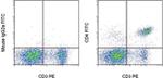 CD4 Antibody in Flow Cytometry (Flow)