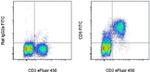 CD5 Antibody in Flow Cytometry (Flow)