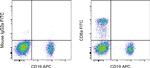 CD8a Antibody in Flow Cytometry (Flow)