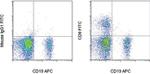 CD8a Antibody in Flow Cytometry (Flow)