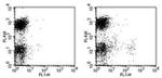 CD11c Antibody in Flow Cytometry (Flow)