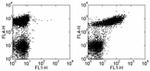 CD21/CD35 Antibody in Flow Cytometry (Flow)