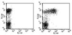 CD23 Antibody in Flow Cytometry (Flow)