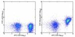 CD28 Antibody in Flow Cytometry (Flow)