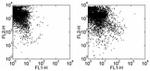 CD34 Antibody in Flow Cytometry (Flow)