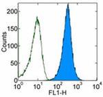 CD47 Antibody in Flow Cytometry (Flow)