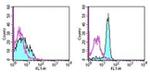 CD61 (Integrin beta 3) Antibody in Flow Cytometry (Flow)