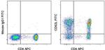 CD62L (L-Selectin) Antibody in Flow Cytometry (Flow)