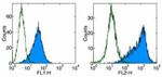 CD86 (B7-2) Antibody in Flow Cytometry (Flow)