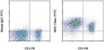 MHC Class I (RT1-A) Antibody in Flow Cytometry (Flow)