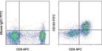 CD103 (Integrin alpha E) Antibody in Flow Cytometry (Flow)