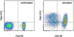 CD366 (TIM3) Antibody in Flow Cytometry (Flow)