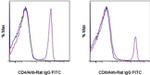 Rat IgG (H+L) Secondary Antibody in Flow Cytometry (Flow)