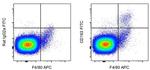 Rat IgG2a kappa Isotype Control in Flow Cytometry (Flow)