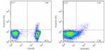 FOXP3 Antibody in Flow Cytometry (Flow)