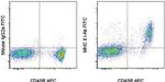 MHC Class II I-Ab Antibody in Flow Cytometry (Flow)