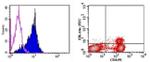 FOXP3 Antibody in Flow Cytometry (Flow)