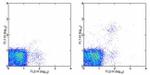 Ly-49G2 Antibody in Flow Cytometry (Flow)