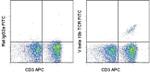 TCR V beta 10b Antibody in Flow Cytometry (Flow)