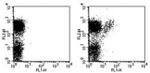 TCR gamma/delta Antibody in Flow Cytometry (Flow)