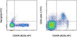 CD93 (AA4.1) Antibody in Flow Cytometry (Flow)