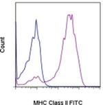 MHC Class II Antibody in Flow Cytometry (Flow)