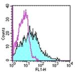 CD107b (LAMP-2) Antibody in Flow Cytometry (Flow)