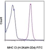 MHC Class I (H-2Kd/H-2Dd) Antibody in Flow Cytometry (Flow)