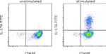 IL-17A Antibody in Flow Cytometry (Flow)