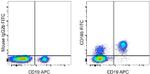 CD185 (CXCR5) Antibody in Flow Cytometry (Flow)