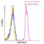 CD45 Antibody