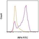 IRF4 Antibody in Flow Cytometry (Flow)