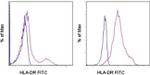 HLA-DR Antibody in Flow Cytometry (Flow)