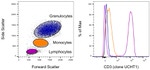 CD3 Antibody