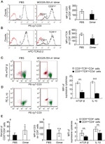 IL-10 Antibody in Flow Cytometry (Flow)