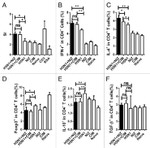 IL-4 Antibody