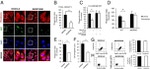 CD16/CD32 Antibody in Flow Cytometry (Flow)