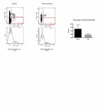 CD135 (Flt3) Antibody in Flow Cytometry (Flow)