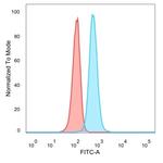 CHEK2 Antibody in Flow Cytometry (Flow)