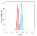 KLF12 Antibody in Flow Cytometry (Flow)