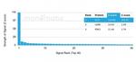 ECD/ SGT1 Antibody in Peptide array (ARRAY)