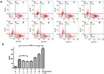 IgM Antibody in Flow Cytometry (Flow)