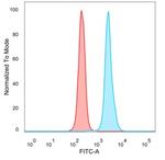 BATF2/SARI (Transcription Factor) Antibody in Flow Cytometry (Flow)