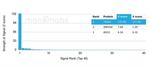 TADA1 (Transcriptional Adapter 1)/STAF42 Antibody in Peptide array (ARRAY)