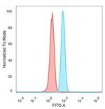 ZNF488 Antibody in Flow Cytometry (Flow)