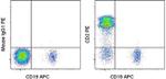 CD2 Antibody in Flow Cytometry (Flow)